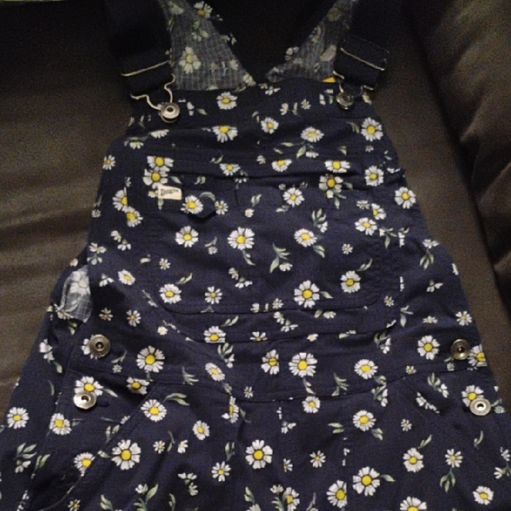 Duluth Womens Overalls.
